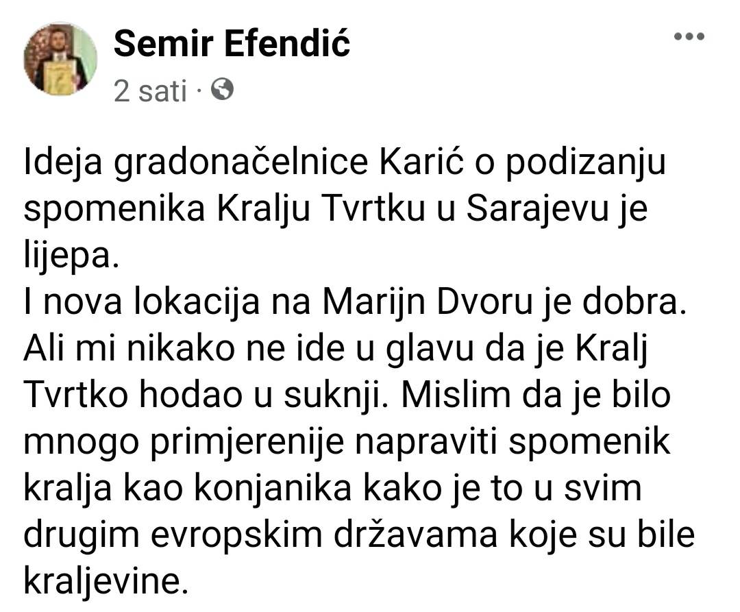 Status Semira Efendića
